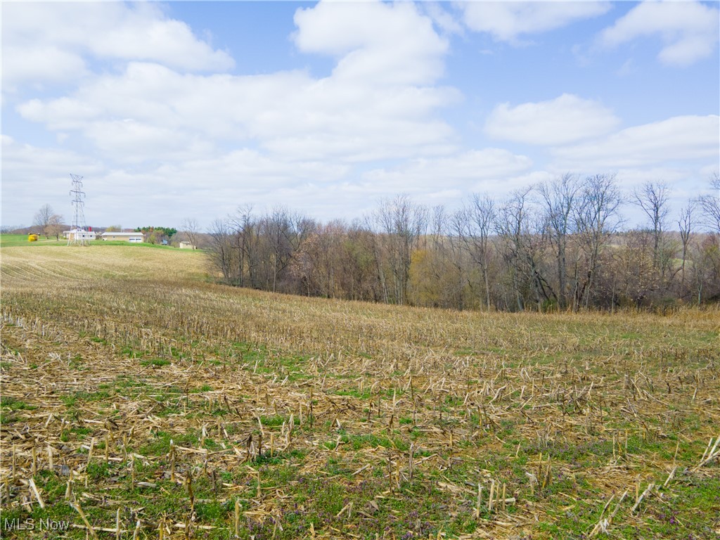 Norfield Road, New Concord, Ohio image 9