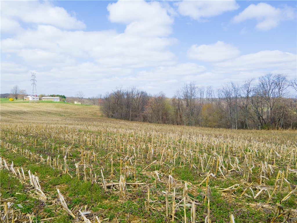 Norfield Road, New Concord, Ohio image 10
