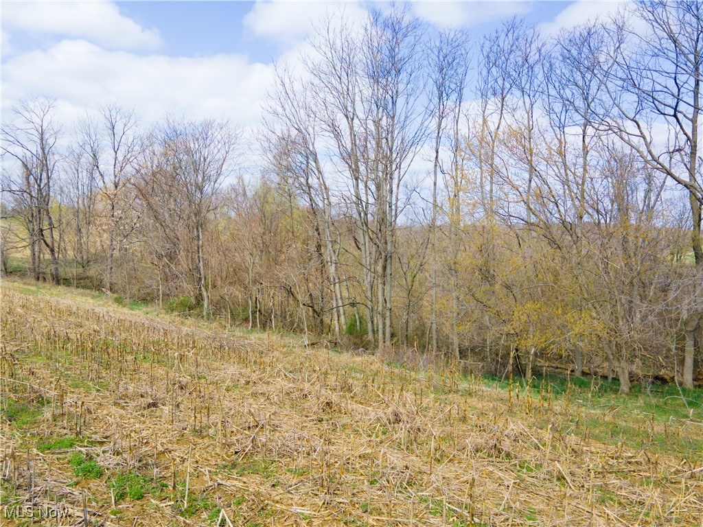 Norfield Road, New Concord, Ohio image 8