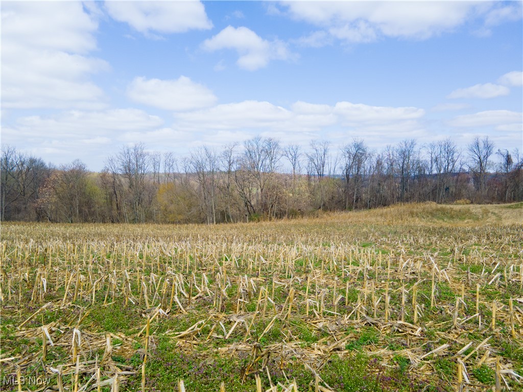 Norfield Road, New Concord, Ohio image 11