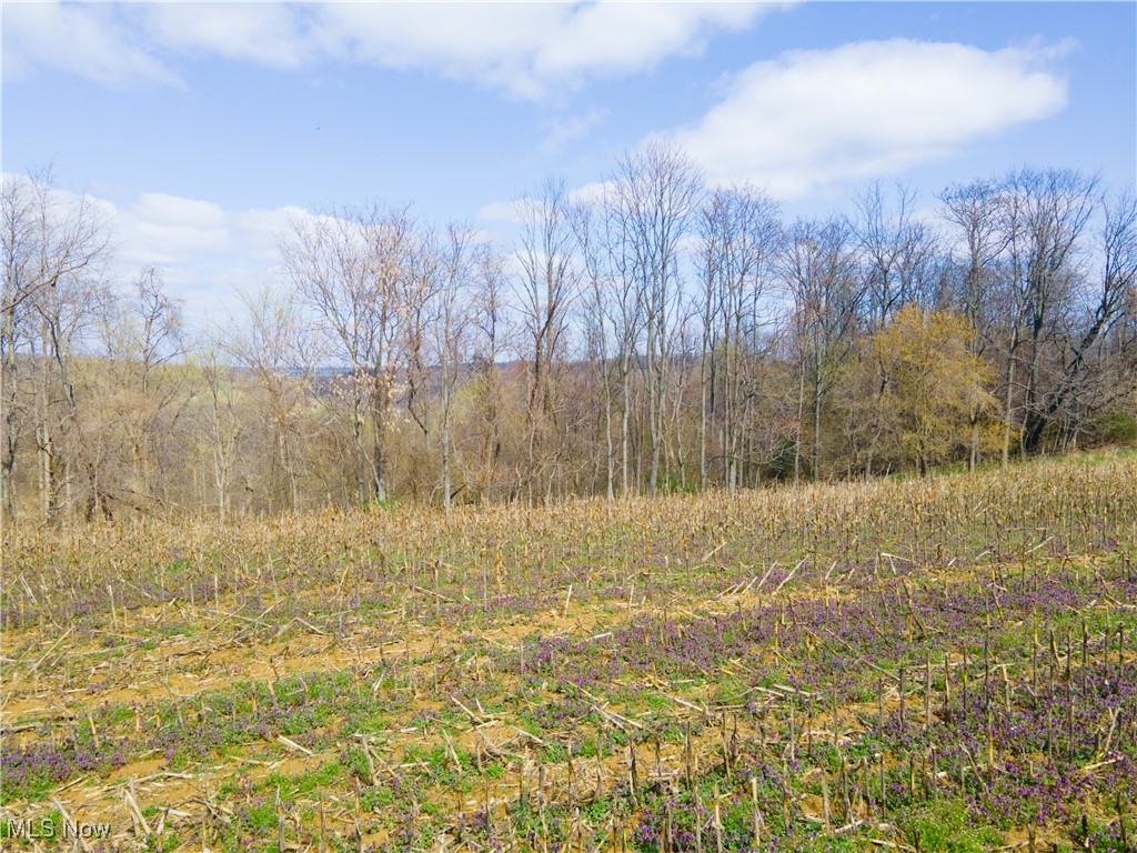 Norfield Road, New Concord, Ohio image 6