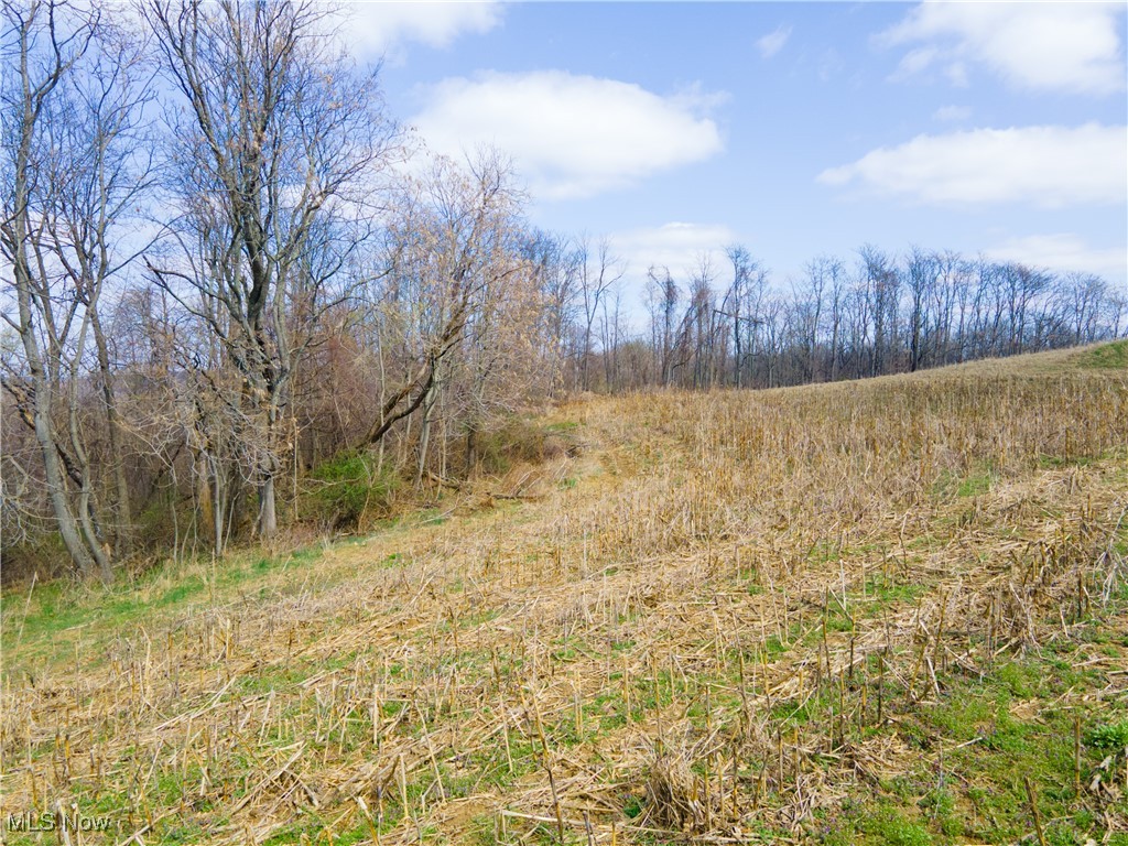 Norfield Road, New Concord, Ohio image 7