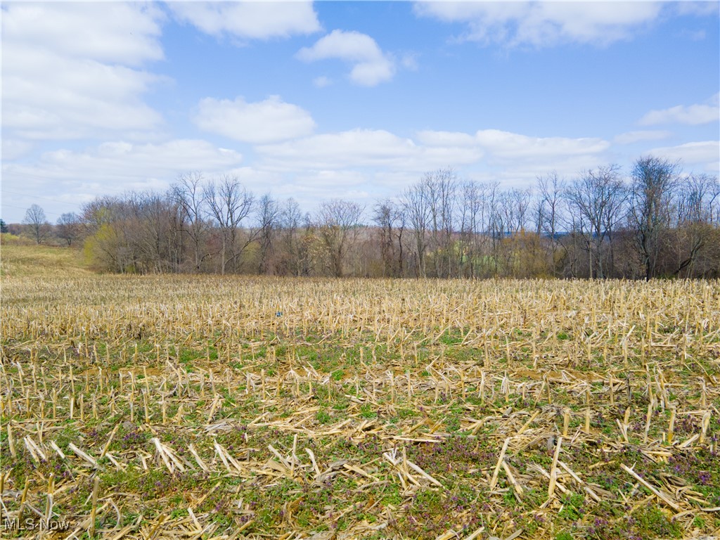 Norfield Road, New Concord, Ohio image 13
