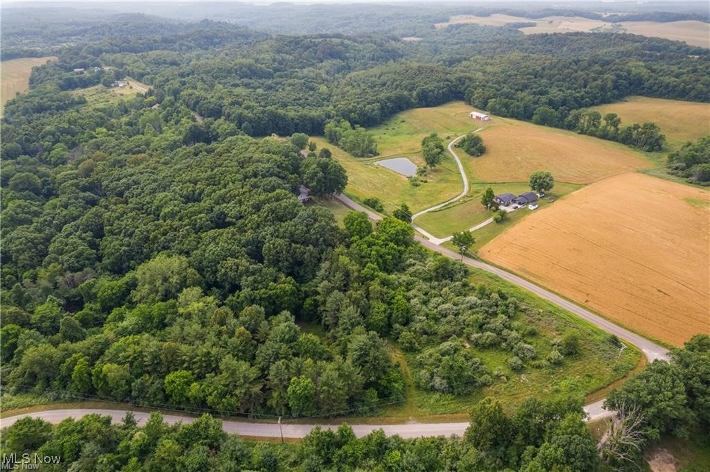 Thunder Road, Magnolia, Ohio image 9