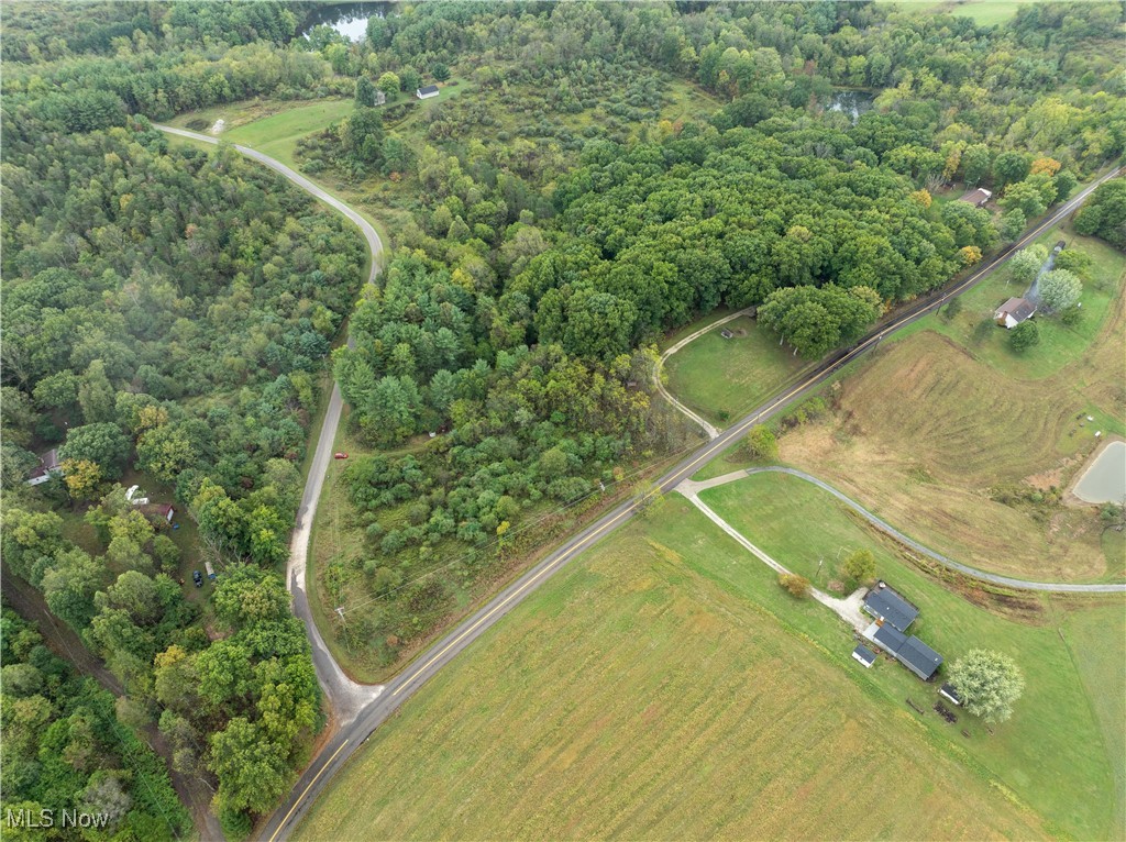 Thunder Road, Magnolia, Ohio image 6