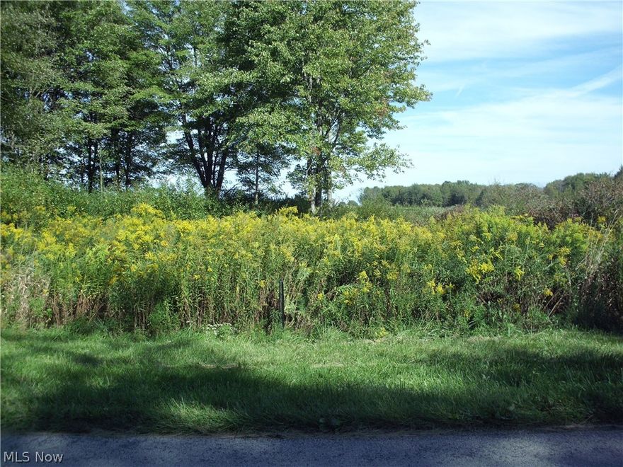 Nice, partially wooded lot in a private lake community. Enjoying boating, fishing, swimming, tennis, and picnicking. Lake Roaming Rock ranks in the top five in Ohio for bass fishing.