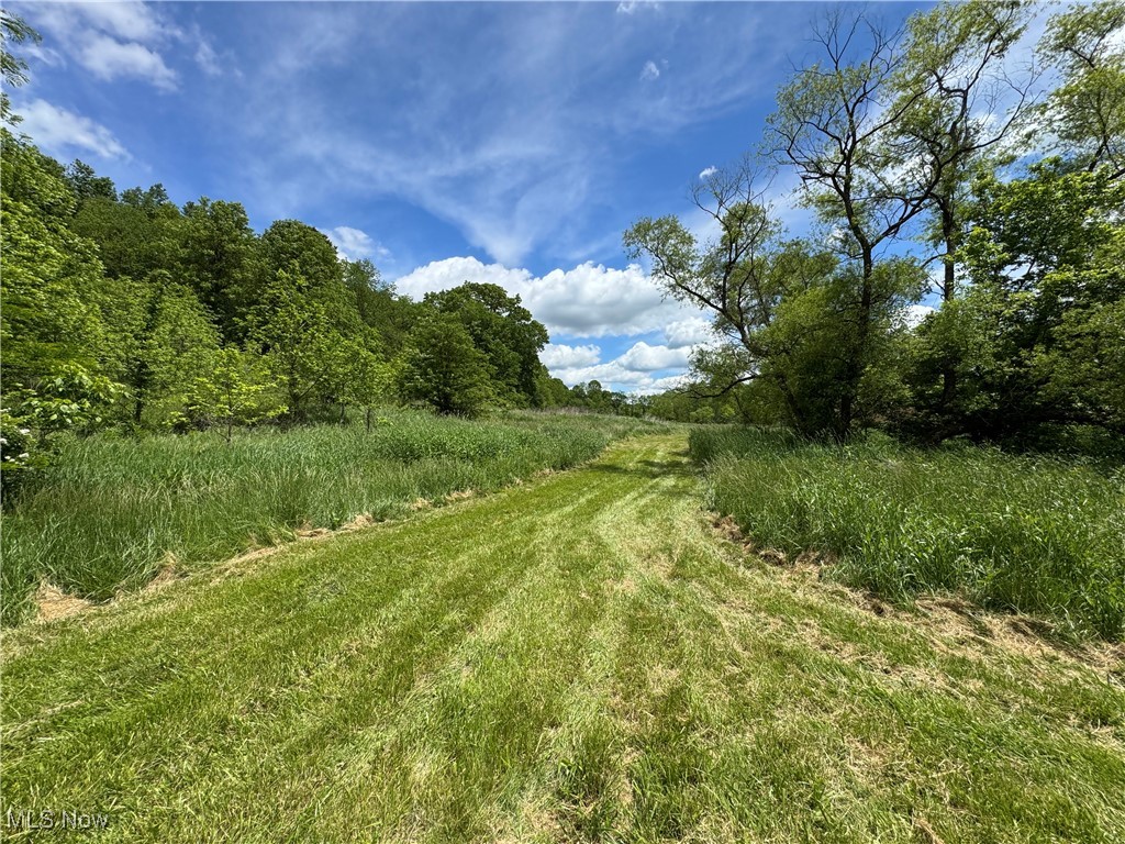 North Star Road, Pleasant City, Ohio image 20