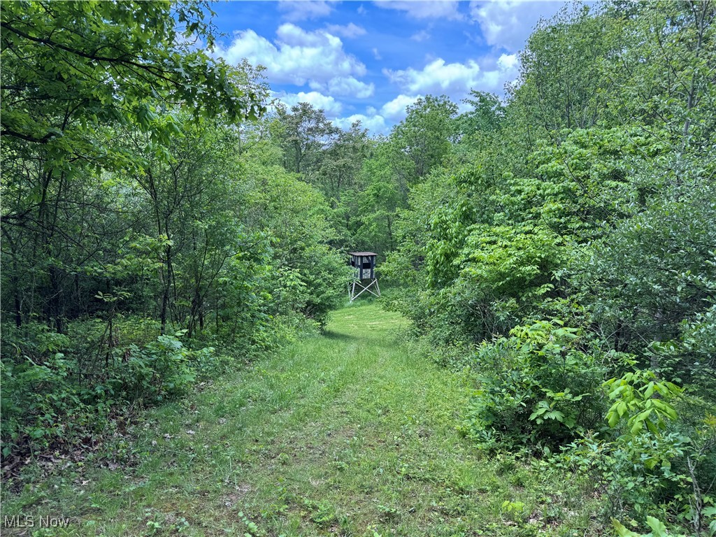 North Star Road, Pleasant City, Ohio image 26