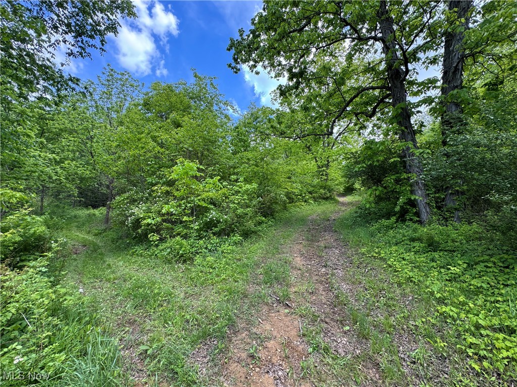 North Star Road, Pleasant City, Ohio image 23