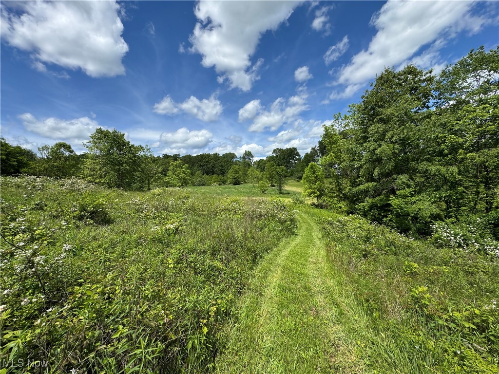 North Star Road, Pleasant City, Ohio image 36