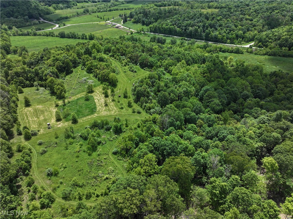 North Star Road, Pleasant City, Ohio image 27