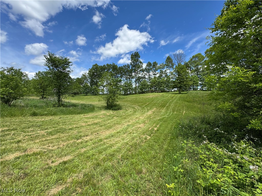 North Star Road, Pleasant City, Ohio image 33