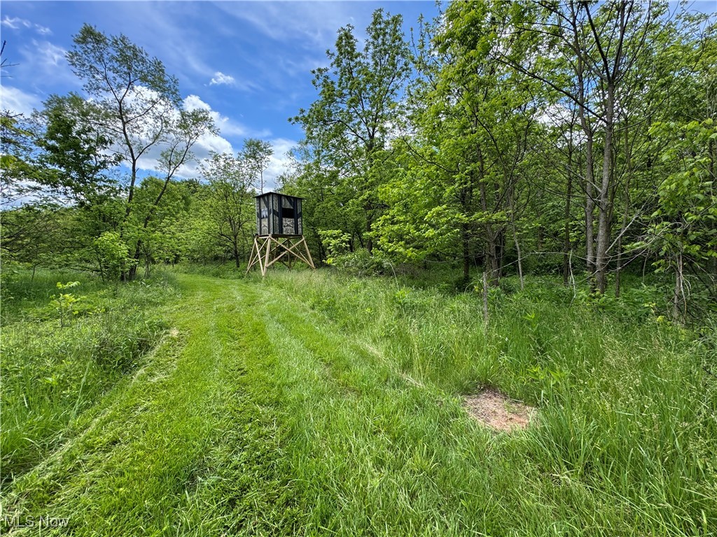 North Star Road, Pleasant City, Ohio image 21
