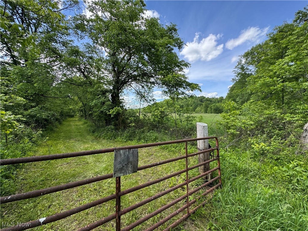 North Star Road, Pleasant City, Ohio image 42