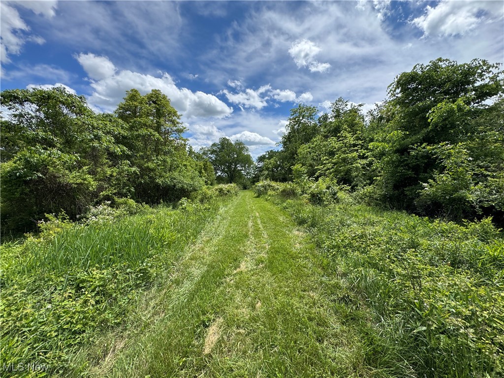 North Star Road, Pleasant City, Ohio image 29