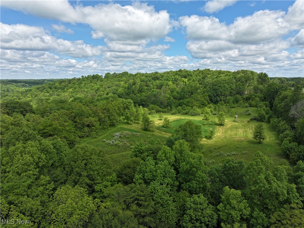 North Star Road, Pleasant City, Ohio image 32