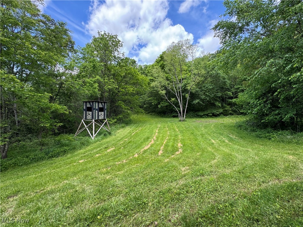 North Star Road, Pleasant City, Ohio image 24