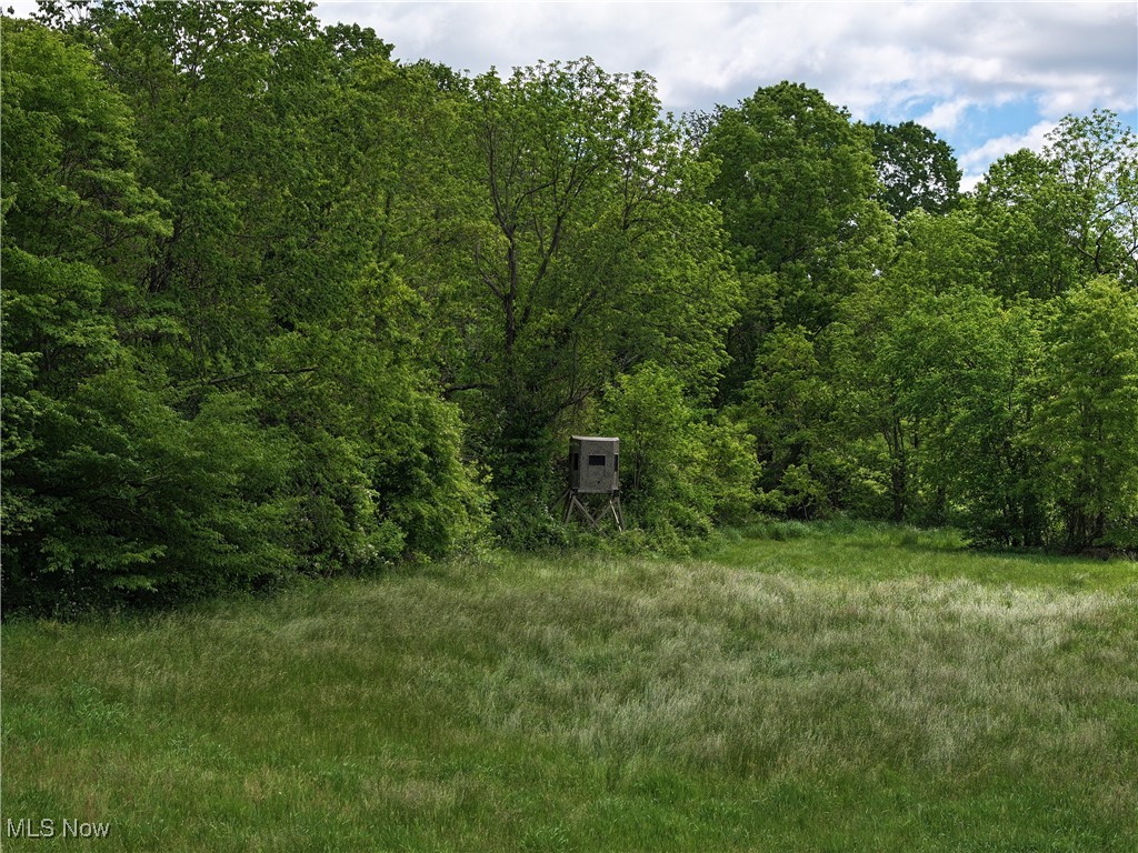 North Star Road, Pleasant City, Ohio image 19
