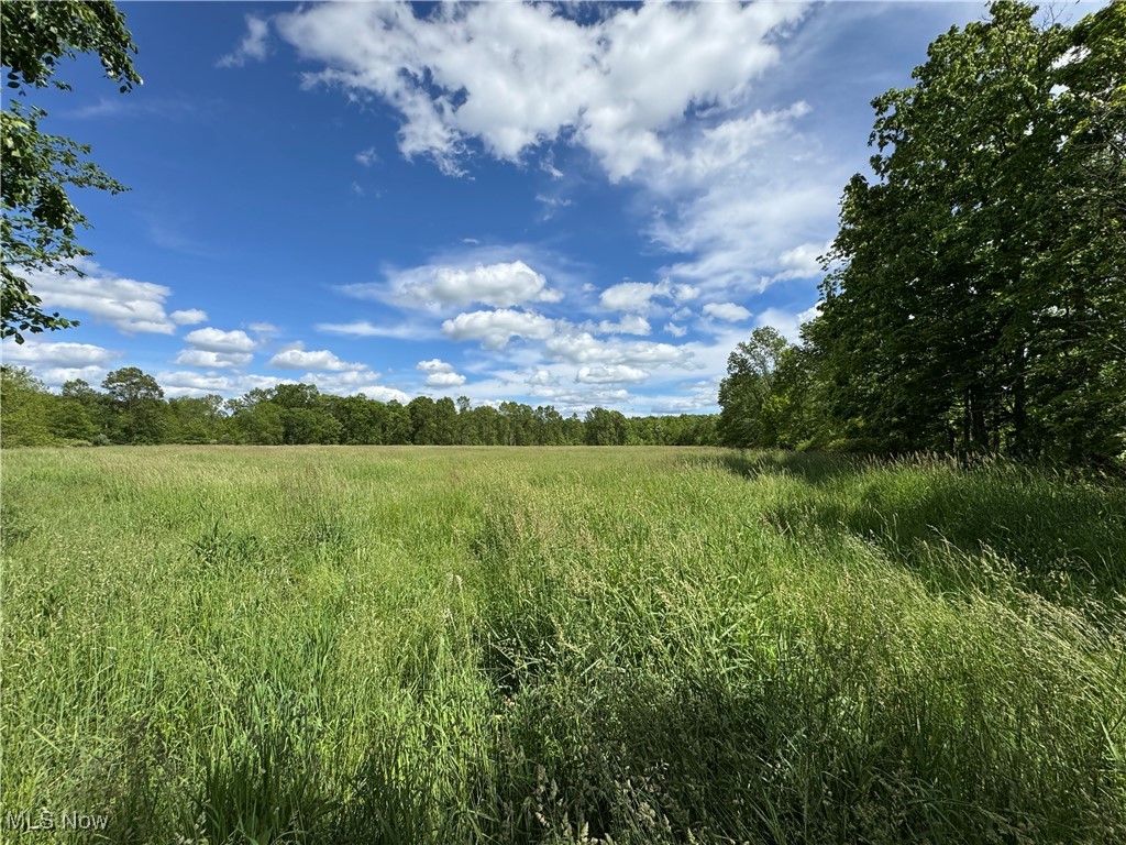 North Star Road, Pleasant City, Ohio image 40