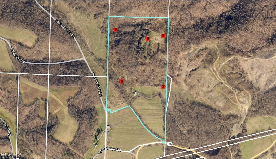 North Star Road, Pleasant City, Ohio image 4