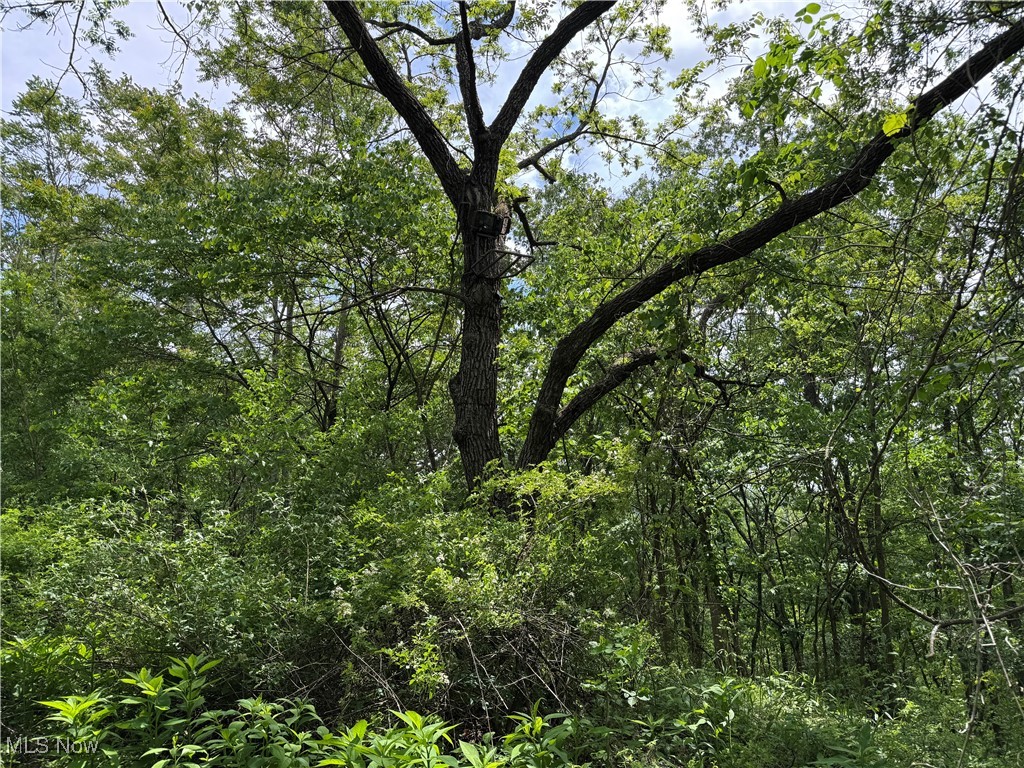 North Star Road, Pleasant City, Ohio image 35