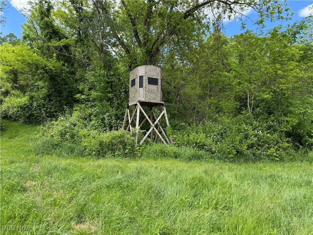 North Star Road, Pleasant City, Ohio image 18