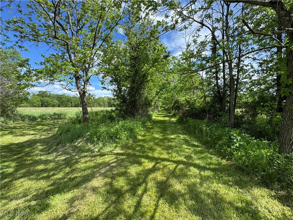North Star Road, Pleasant City, Ohio image 41