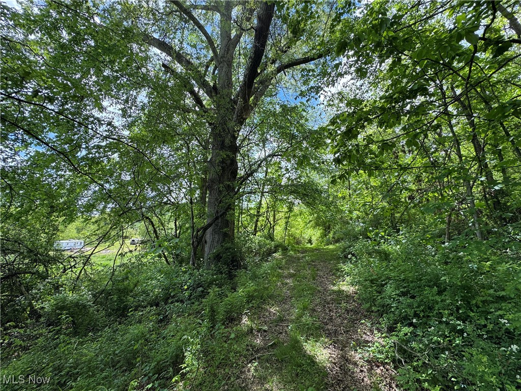 North Star Road, Pleasant City, Ohio image 37