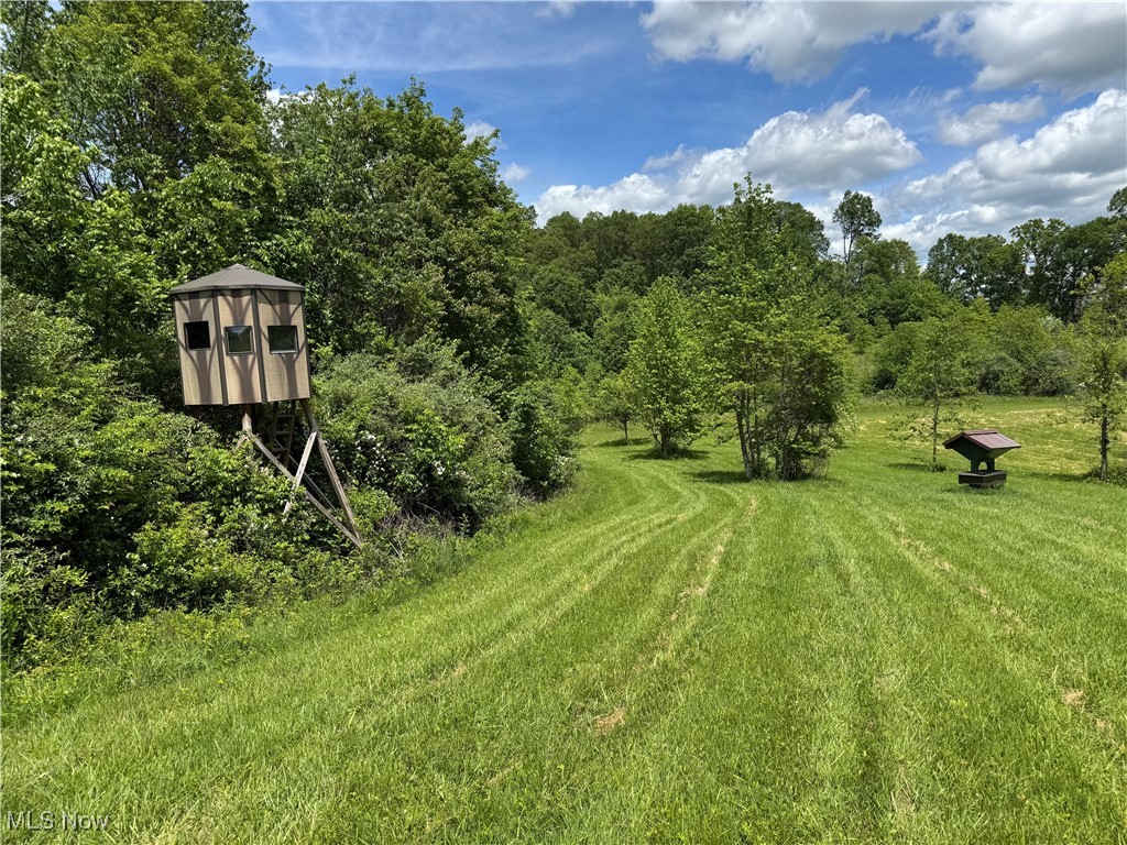 North Star Road, Pleasant City, Ohio image 28