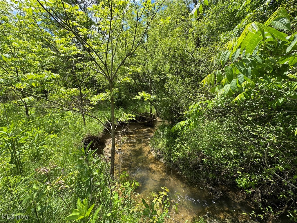 North Star Road, Pleasant City, Ohio image 22