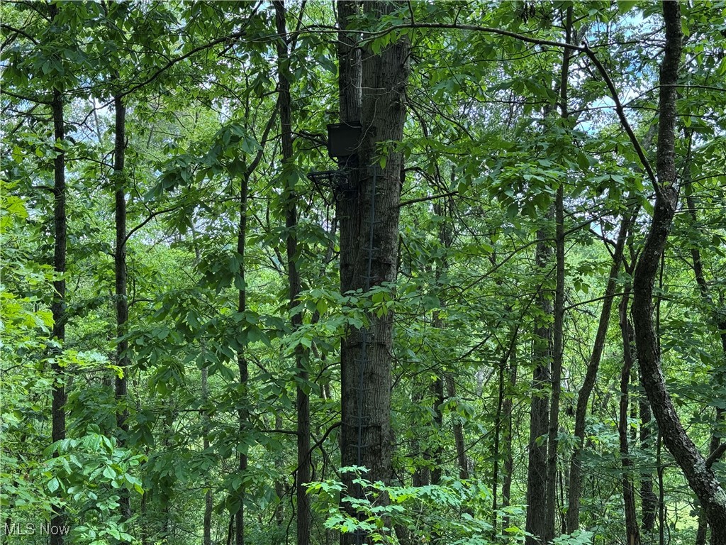 North Star Road, Pleasant City, Ohio image 34