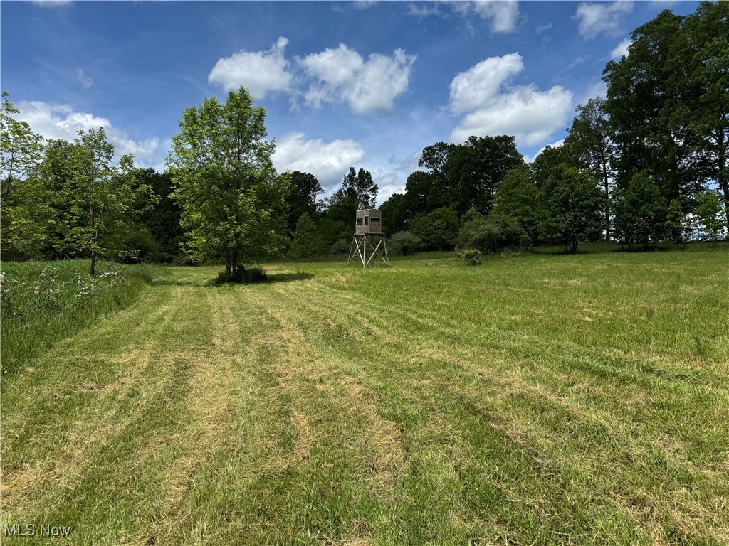 North Star Road, Pleasant City, Ohio image 30