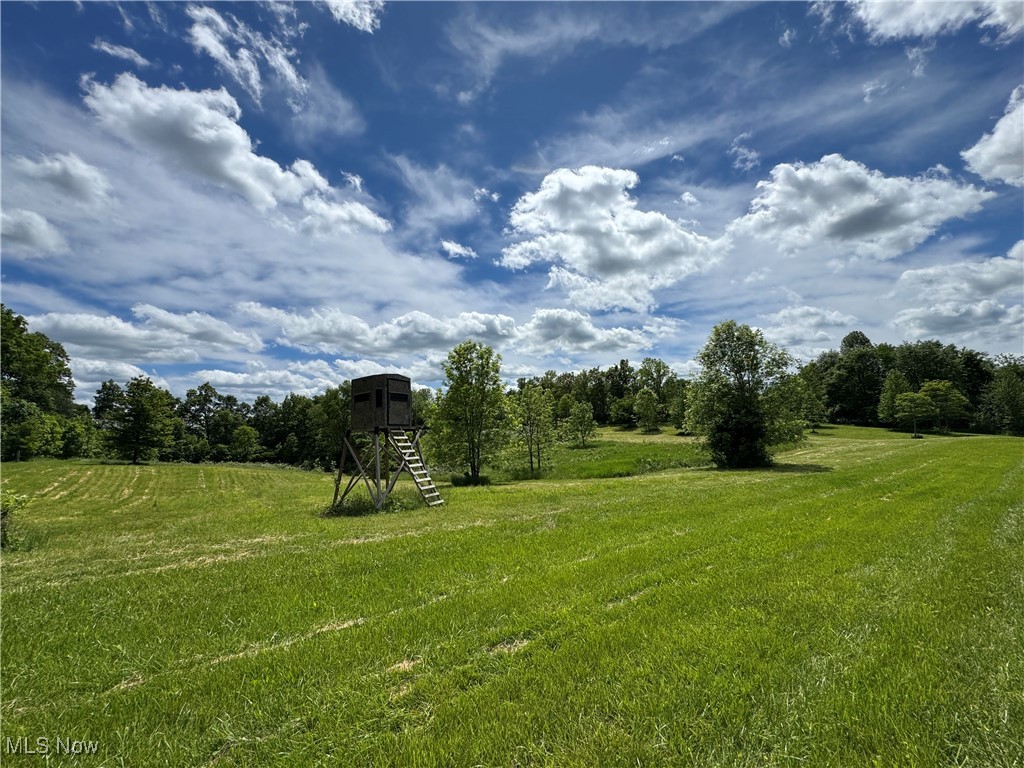 North Star Road, Pleasant City, Ohio image 31