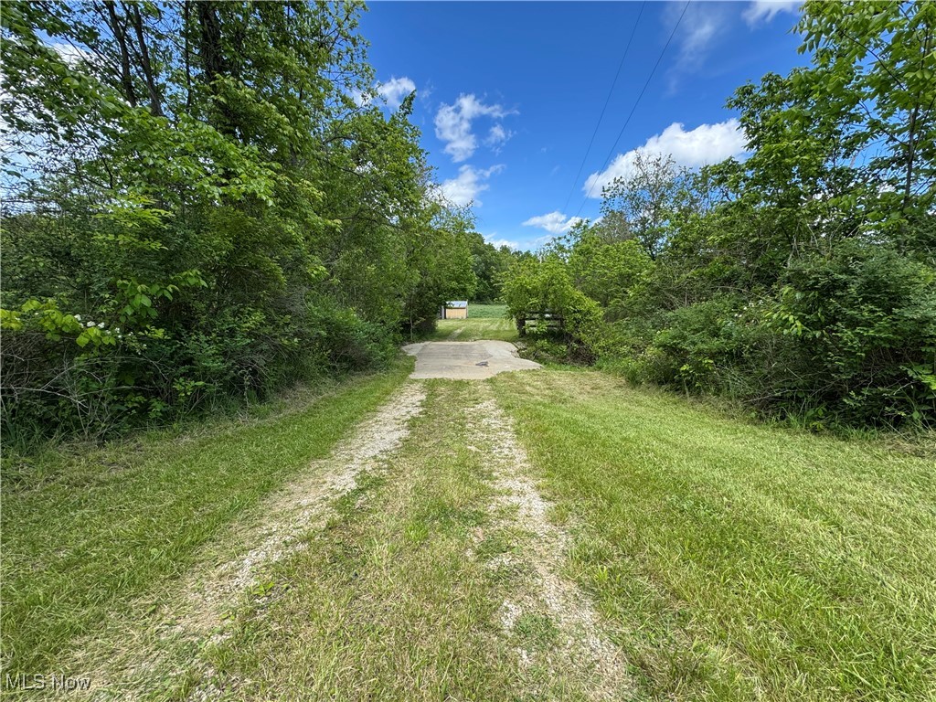 North Star Road, Pleasant City, Ohio image 7