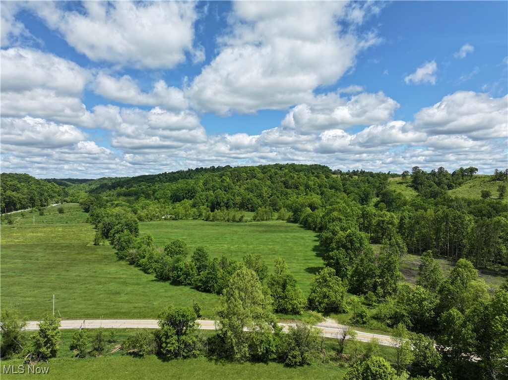 North Star Road, Pleasant City, Ohio image 3