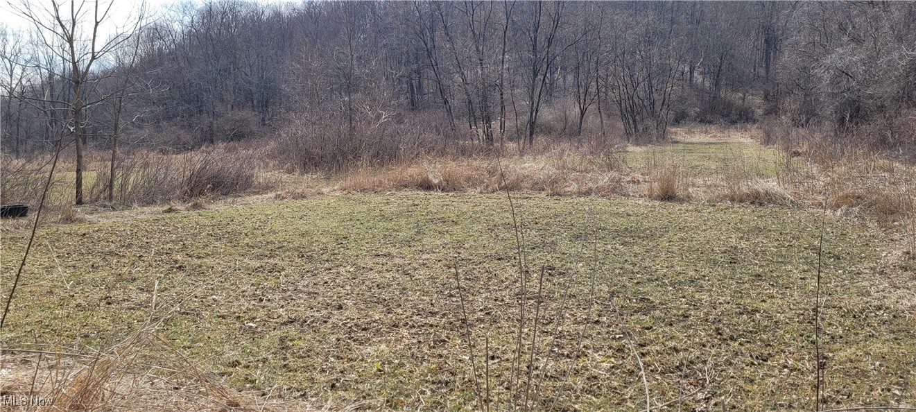 33107 Township Road 325, Killbuck, Ohio image 31