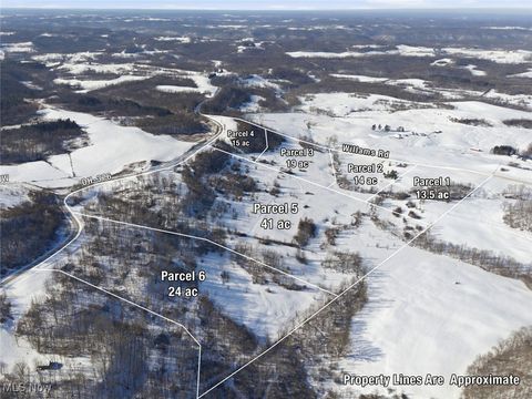 Vacant Land For Sale - PARCEL 1 Willimas Road<br/> Mcconnelsville, OH 43756