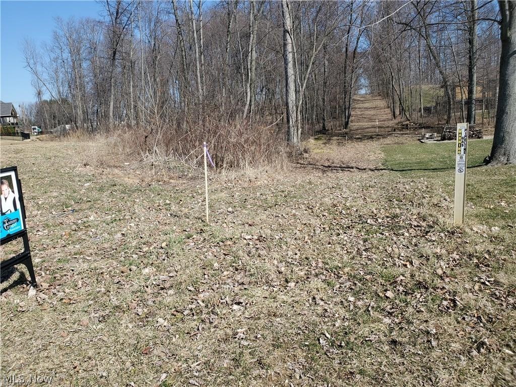 Kings Ridge Ph Eight - Land