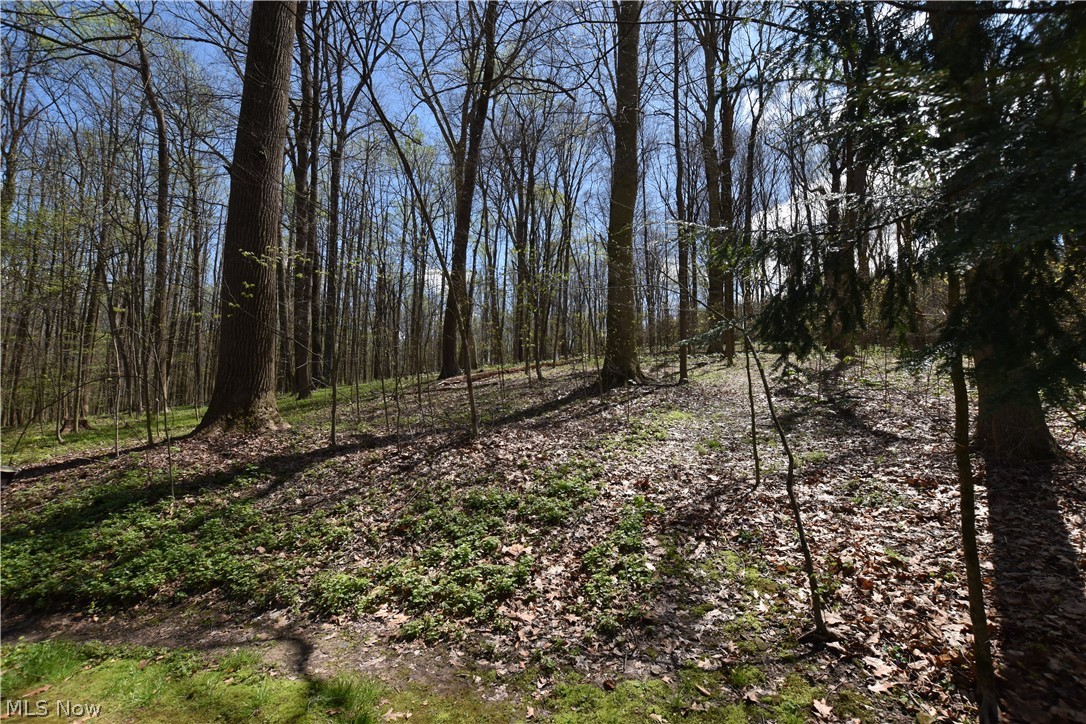 Atwood Lake - Residential