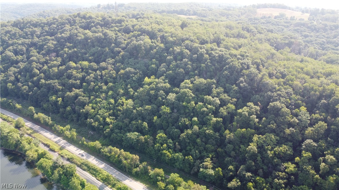 Ohio River Boulevard, New Cumberland, West Virginia image 12