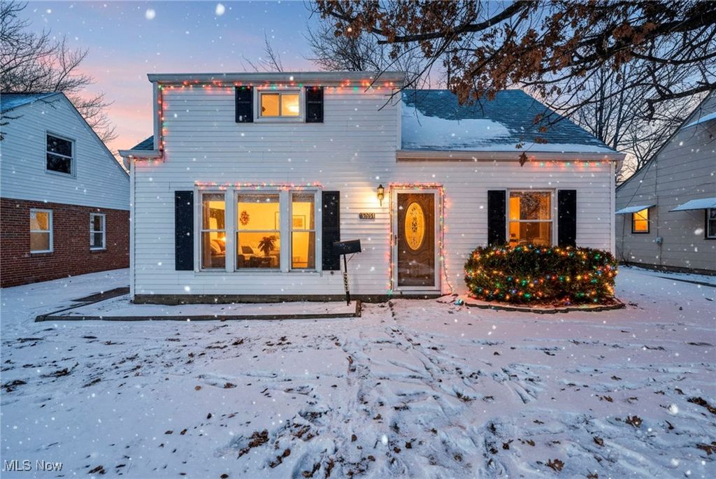 Photo of 26951 Shirley Avenue, Euclid, OH 44132 (MLS # 5177078)