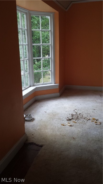 Forest Glen Estates - Residential