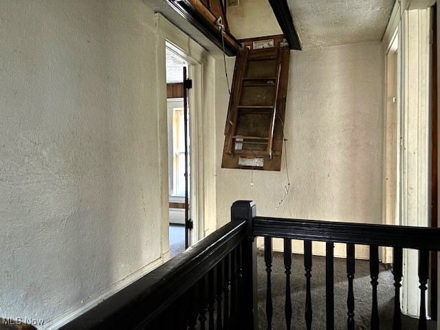 Williams - Residential