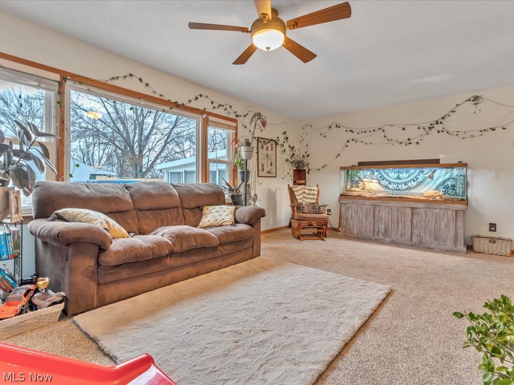 Frank Polen Sub - Residential