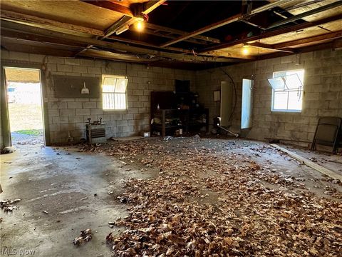 Tiny photo for 445 W Martin Street, East Palestine, OH 44413 (MLS # 5192028)