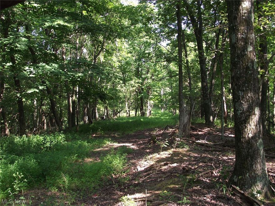 Attention Land Seekers and Hunters - 25+ Acres W/ Two Cabins - All Wooded – Doddridge Co. – West Virginia - Live W/ Online Bidding Available. Family-owned for many years. ABSOLUTE AUCTION, all sells to the highest bidders on location. ONLINE AND LIVE ON-SITE BIDDING WILL BEGIN WEDNESDAY – SEPTEMBER 20, 2023 – 6:00 PM. Real Estate: 25+ wooded acres w/ two small cabins, one on stilts w/ enclosed porch, kitchen, bath, and living room. The other is a handyman, shared driveway. The land is all wooded with a path to the far end of the parcel. All sells for one sum of money. Parcels #13000900010000 and #13000900030000. Walk the land at your leisure. The property will be open for viewing on auction day at 4:00 PM. Terms On Real Estate: 10% down auction day, balance due at closing. A 10% buyer’s premium will be added to the highest bid to establish the purchase price. Any desired inspections must be made prior to bidding. All information contained herein was derived from sources believed to be correct. Information is believed to be accurate but not guaranteed.