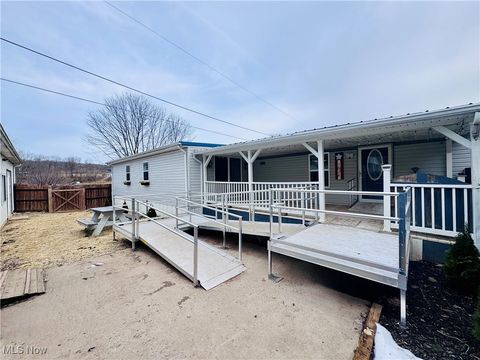 Homes For Sale - 3924 Webb Lane<br/> Morgan County, Stockport, OH 43787