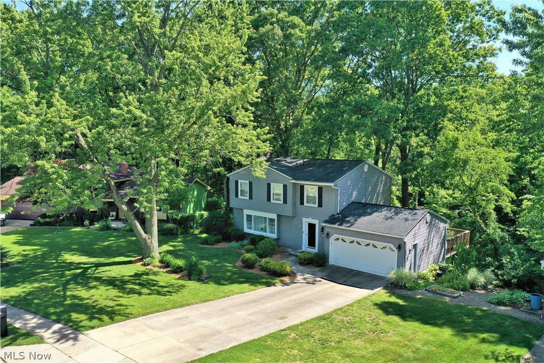 Woodpark Estates Allotment - Residential