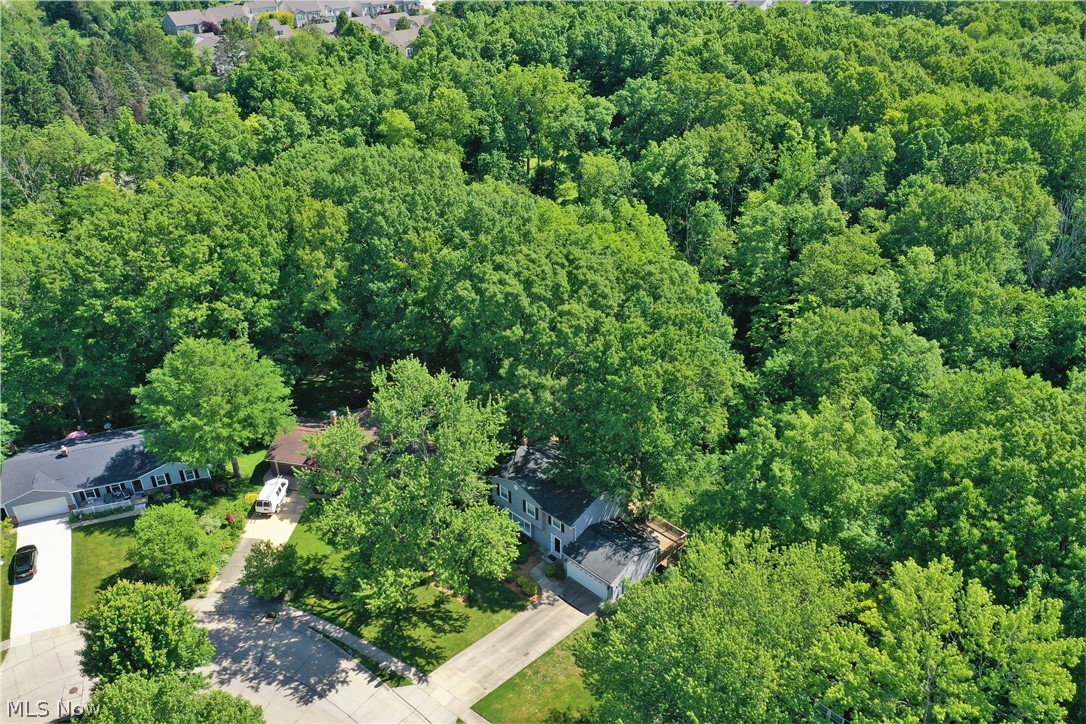 Woodpark Estates Allotment - Residential