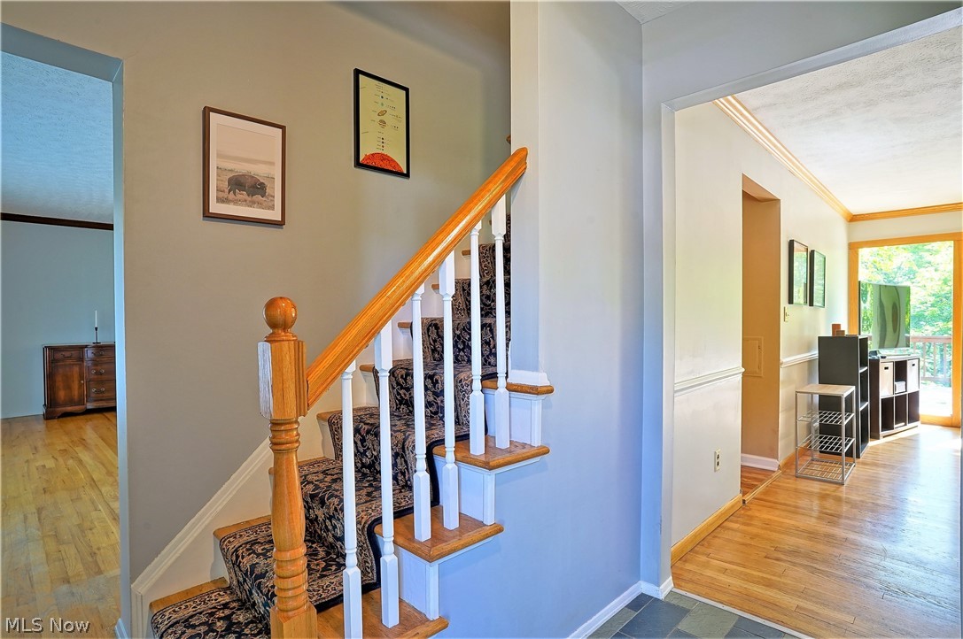 Woodpark Estates Allotment - Residential